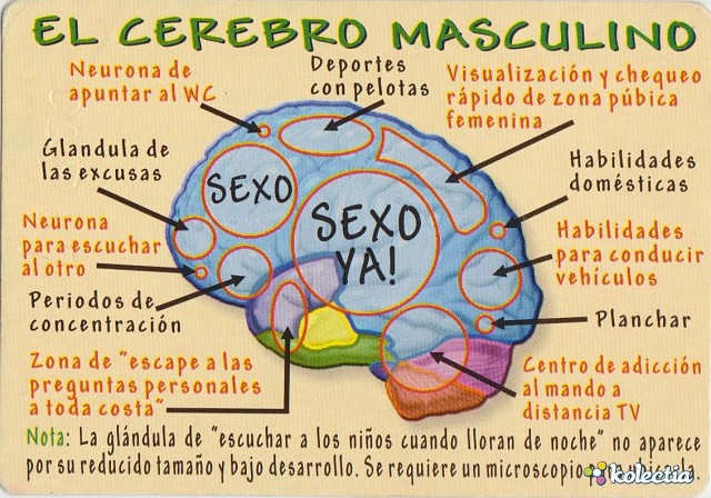 Spain%%Chiste%Er%tico%El%Cerebro%Masculino%-%